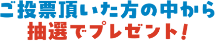 ご投票頂いた方の中から、抽選でプレゼント！